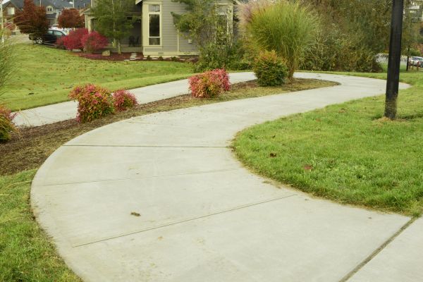 Cost of Concrete Sidewalk Replacement in Charlotte