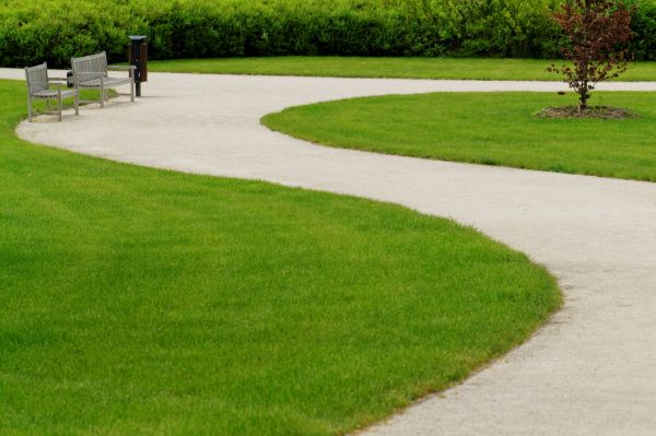 Cost of Concrete Walkway Installation in Charlotte