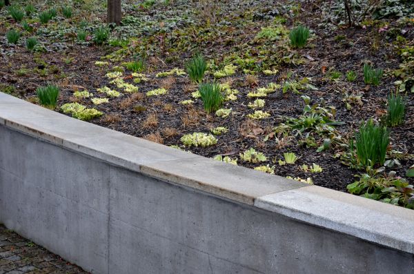 Concrete Wall Construction in Charlotte