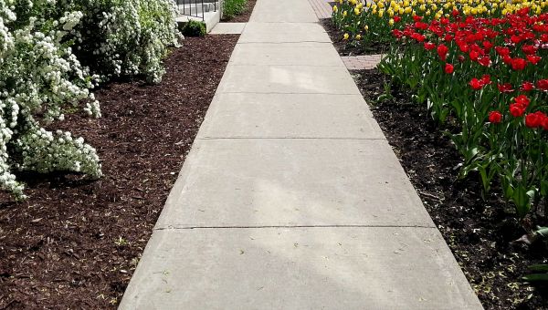 Cost of Sidewalk Slab Replacement in Charlotte