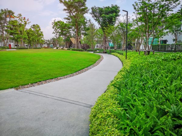 Cost of Cement Walkway Service in Charlotte